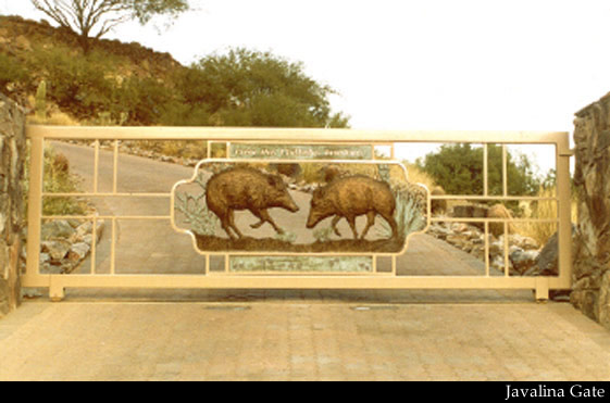Javalinas Gate by Duke Sundt