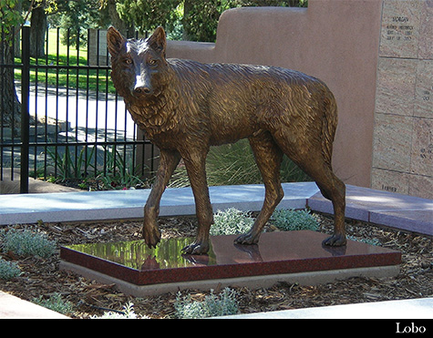 Lobo by Duke Sundt