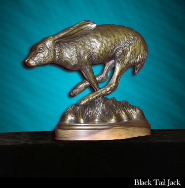 Black Tail Jack