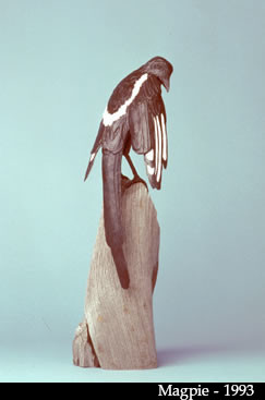 Magpie by Duke Sundt